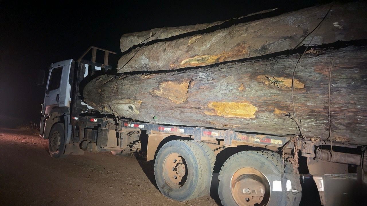 Polícia Militar apreende caminhões com madeira ilegal em Porto Velho