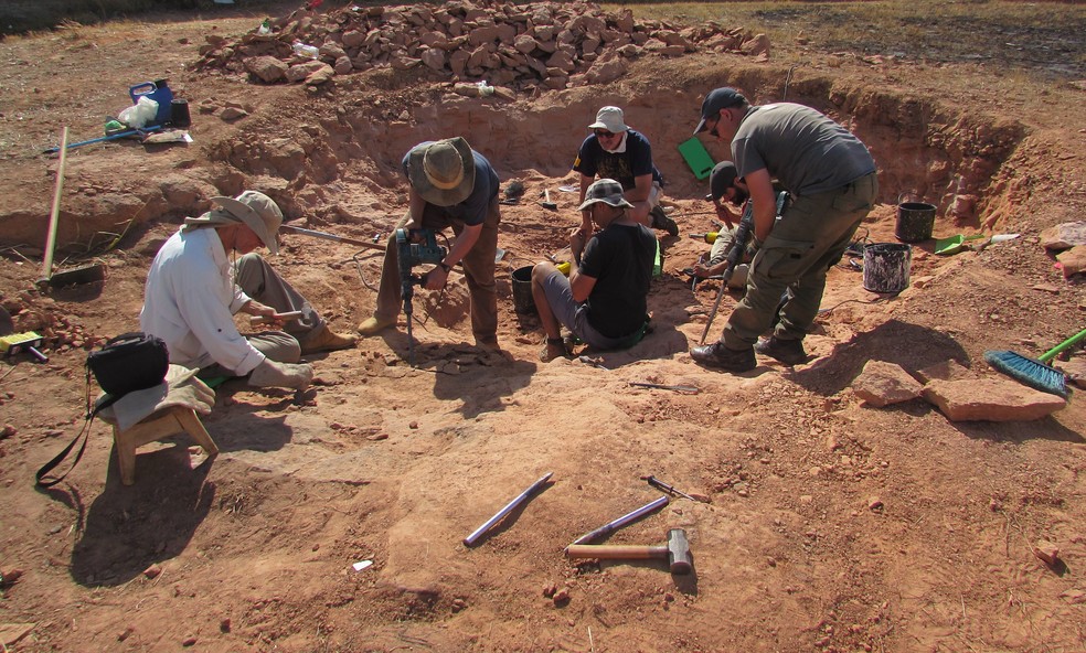 Nava (à esquerda) junto a paleontólogos da Argentina e EUA escavando fósseis de aves da Era dos Dinossauros — Foto: Willian Roberto Nava/Arquivo Pessoal