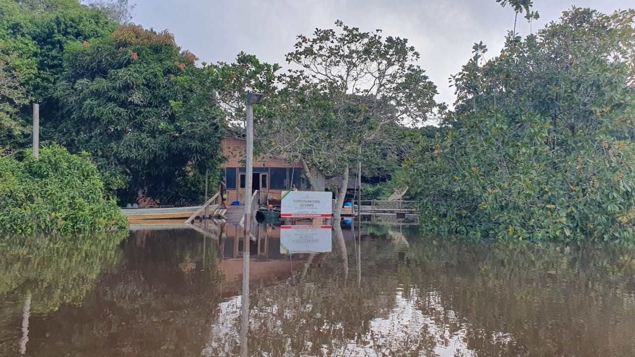 VÍDEO: cães são resgatados em canoa durante cheia no Rio Araguari, no Amapá