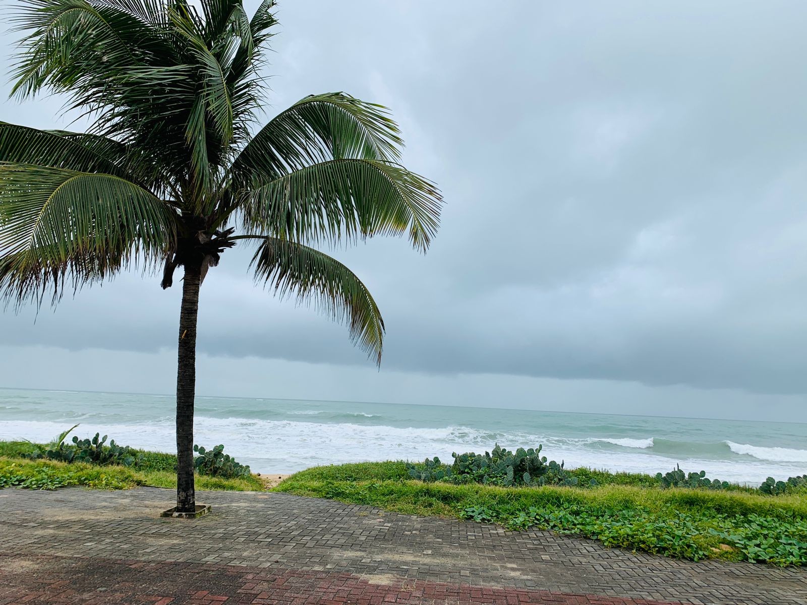 Confira a previsão do tempo para Quarta-feira de Cinzas (18) em Alagoas