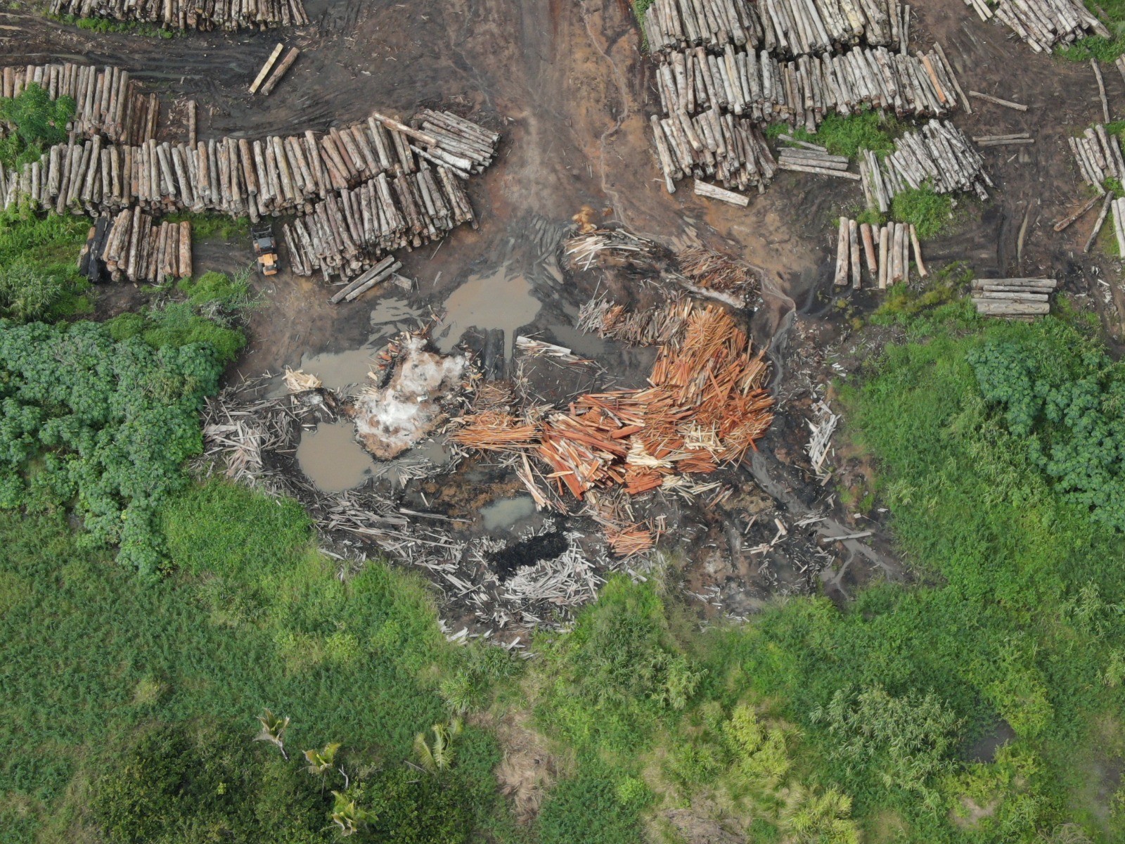 Madeireiro é preso e multado em R$ 100 mil após tentar subornar fiscal do Ibama em Anapu, no Pará