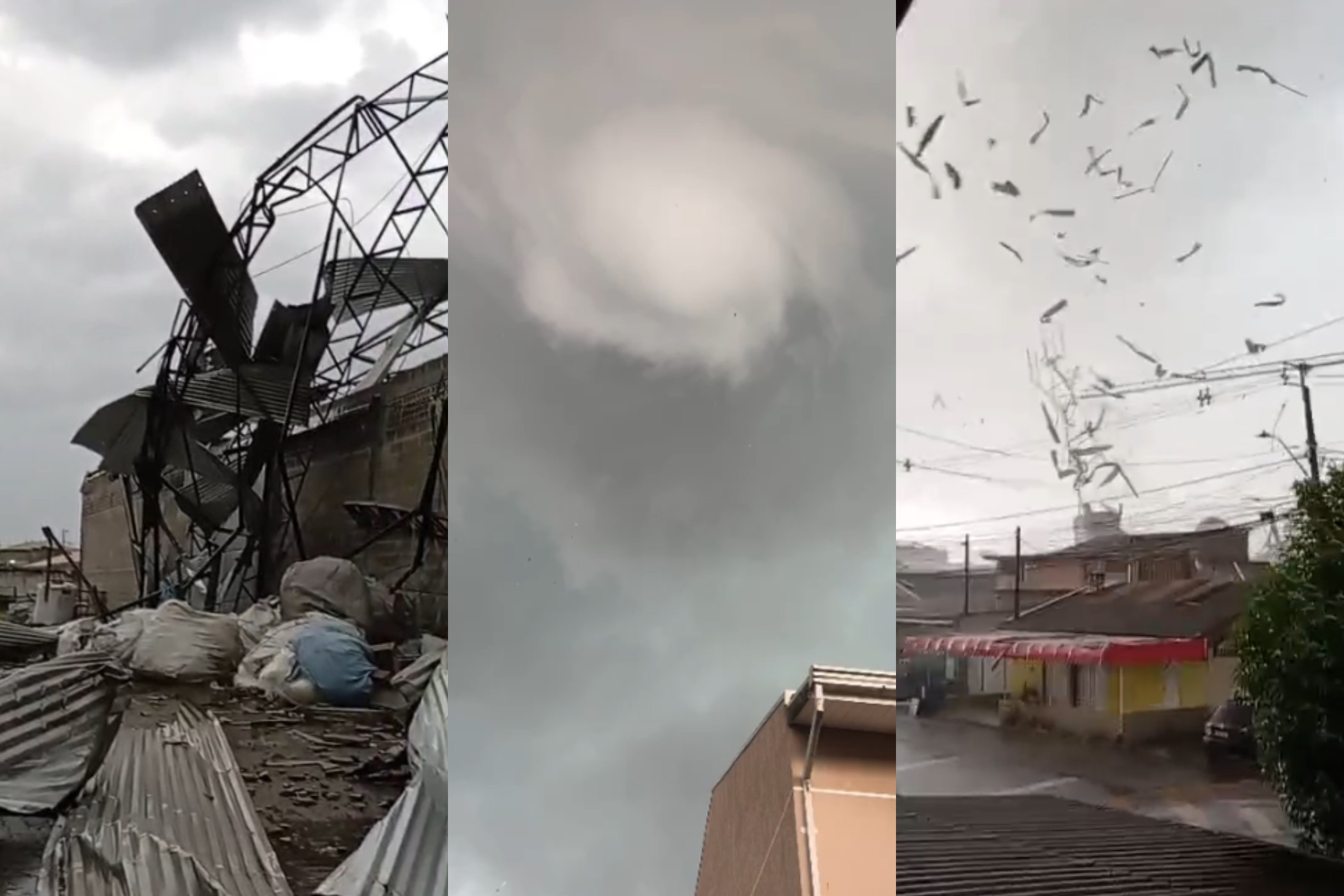 Destelhamentos, queda de árvores e muros: tornado em São José dos Pinhais causa estragos