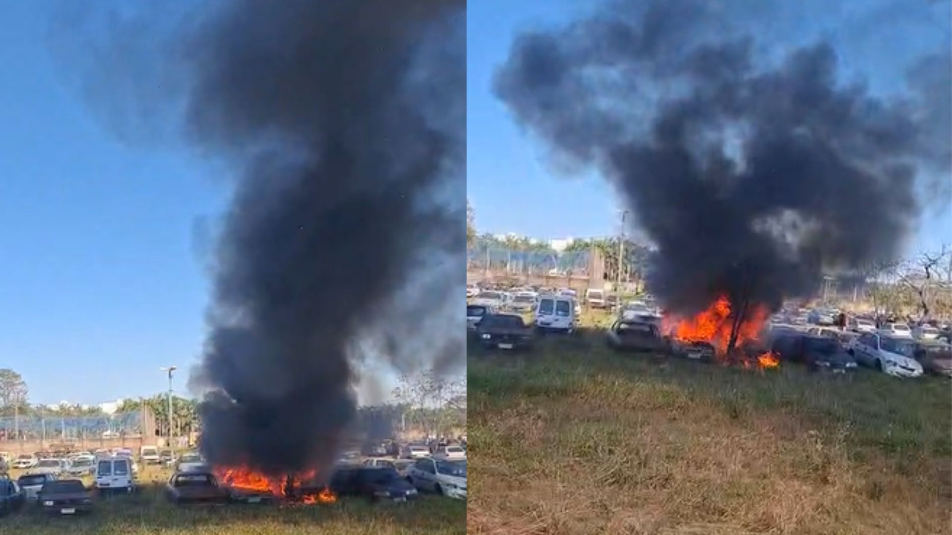 VÍDEO: Incêndio atinge pátio de veículos na Zona Oeste de Uberlândia e deixa carros destruídos