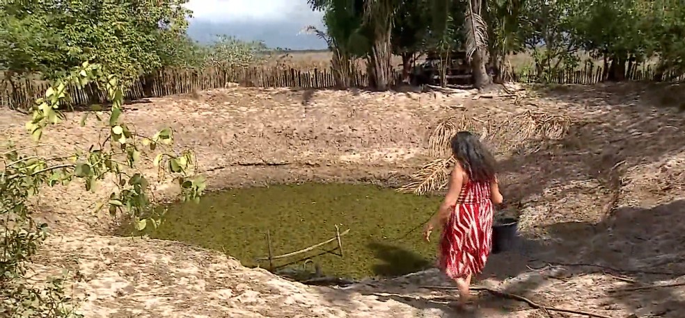Famílias buscam o que sobrou da água dos açudes devido a seca no Maranhão — Foto: Reprodução/TV Globo