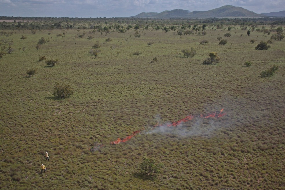 Brigadistas do PrevFogo durante queima prescrita no Xingu em MT — Foto: PrevFogo/Ibama