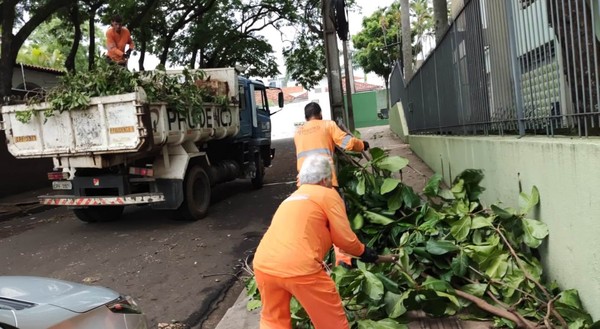 TV Paraguaçu - Raio atinge e mata cavalo durante temporal, em Presidente  Prudente