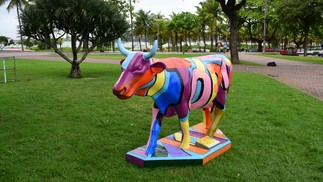 Exposição do CowParede no ES — Foto: Ricardo Medeiros