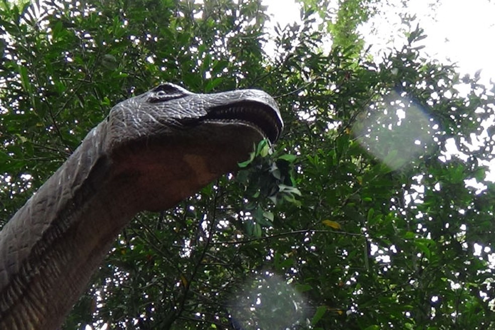 Antigo mistério sobre os dinossauros pode finalmente ter uma