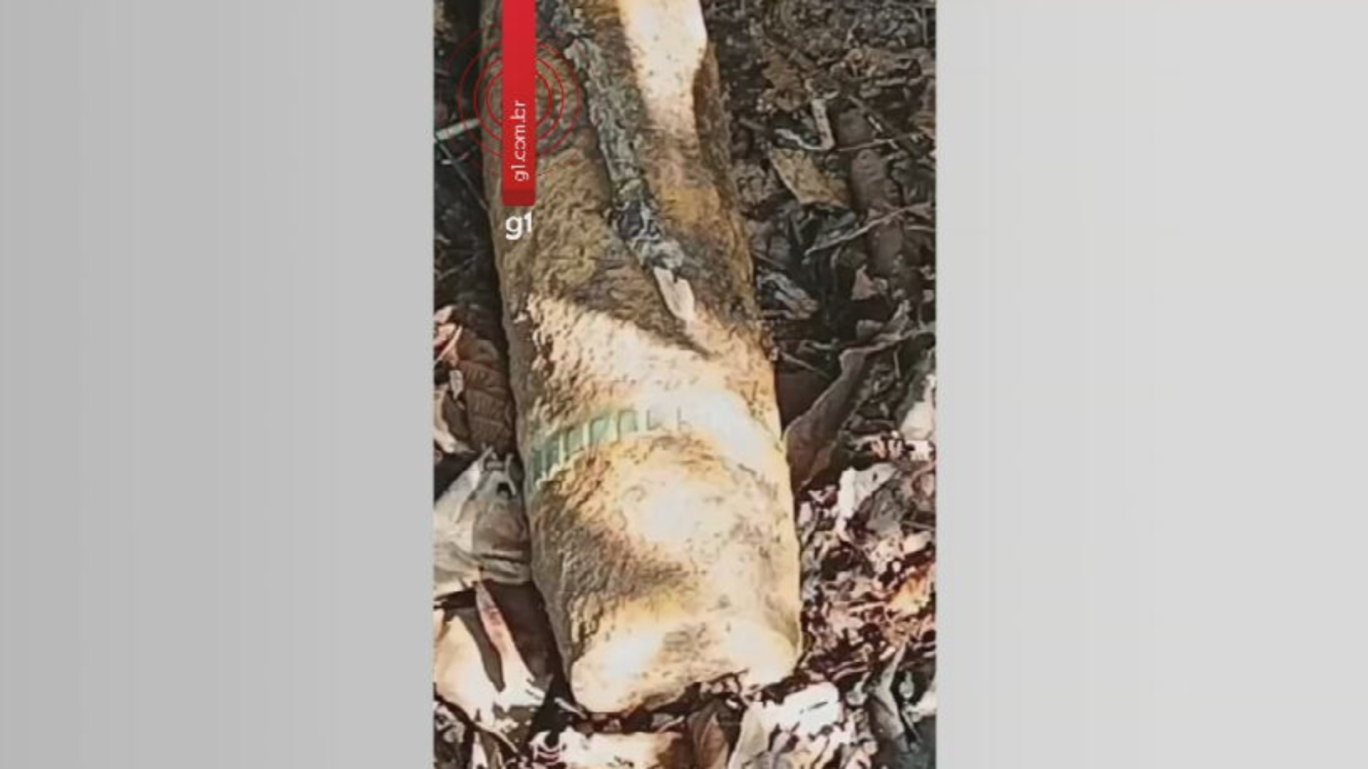 Gate é acionado e detona projétil de artilharia encontrado em empresa no interior de SP; veja vídeo