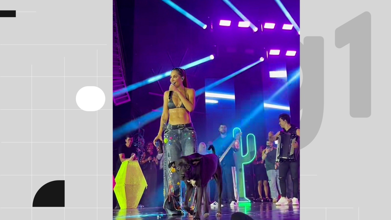 Cachorro em situação de rua invade palco em gravação de DVD e é adotado por cantora, no Sertão da PB: ‘Ele agora vai ser feliz’; VÍDEO