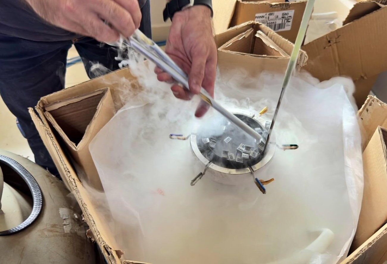 Piauí fortalece campo com 40 mil inseminações e apoio a 700 mil produtores