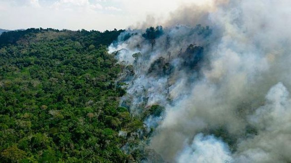 Sustentabilidade com o Google: ajudando a preservar a Amazônia e a