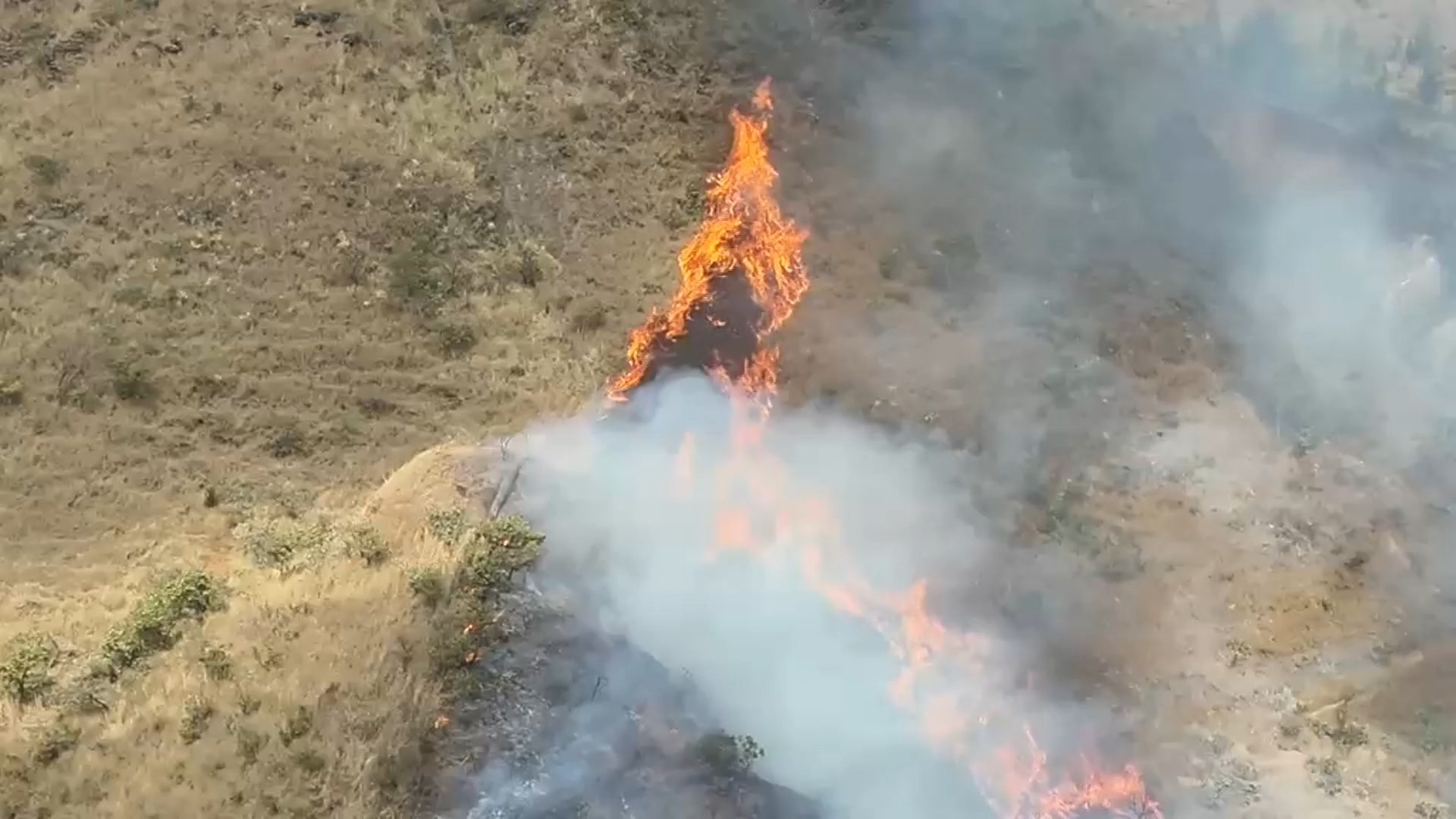 Incêndio de grandes proporções na Serra do Curral, em BH, mobiliza Corpo de Bombeiros