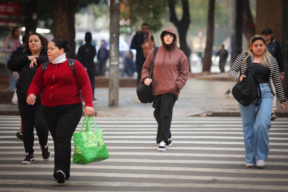 Pedestres caminham em dia de frio na capital paulista — Foto: Divulgação/Governo de SP