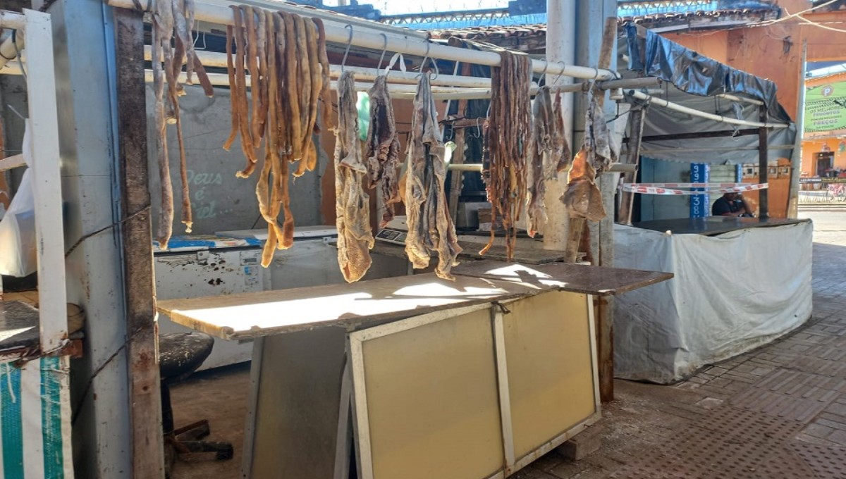 Fiscalização apreende 1,4 tonelada de produtos de carne em mercado de Almenara
