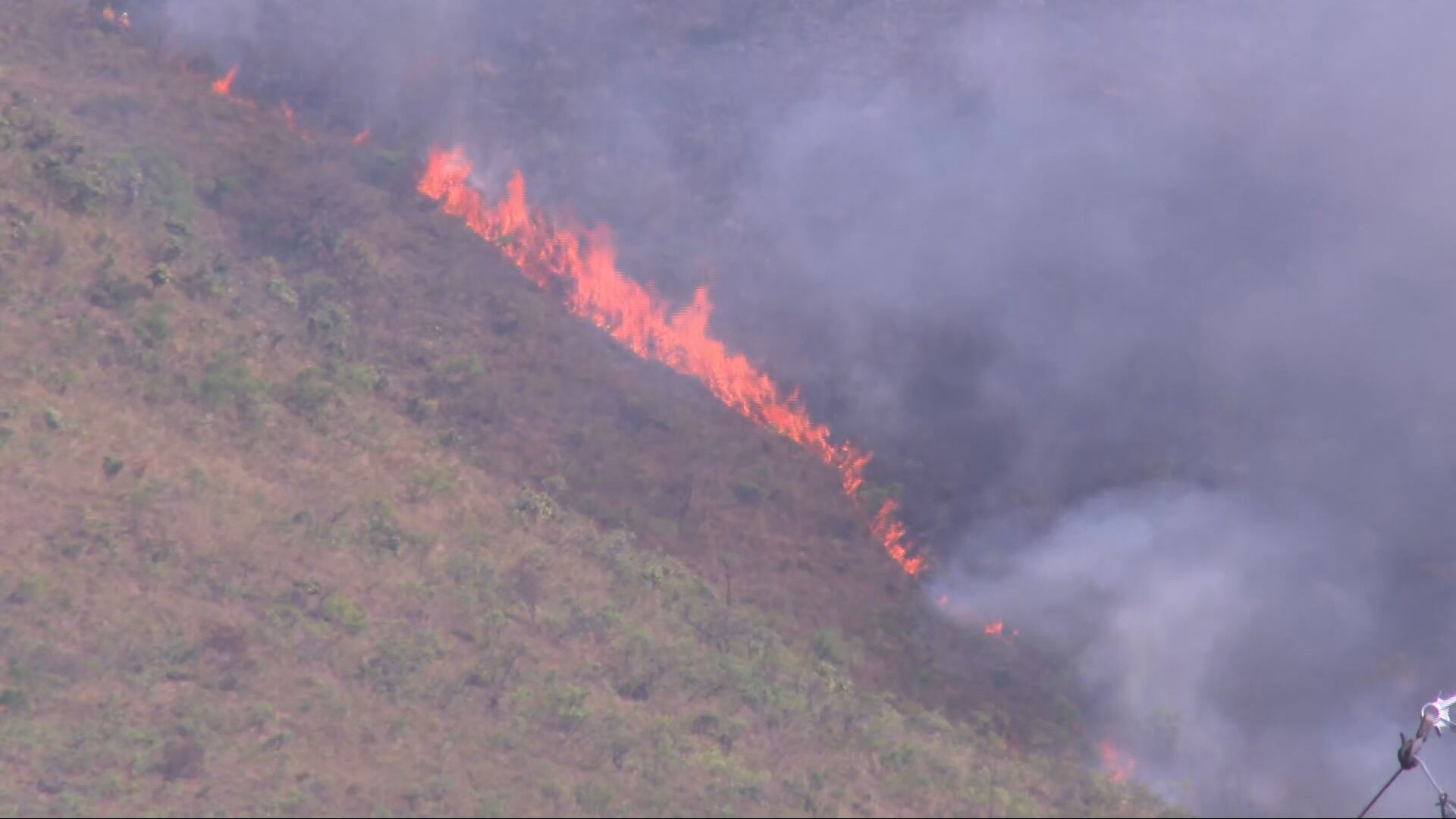 MG tem média de 150 incêndios em vegetação por dia em setembro