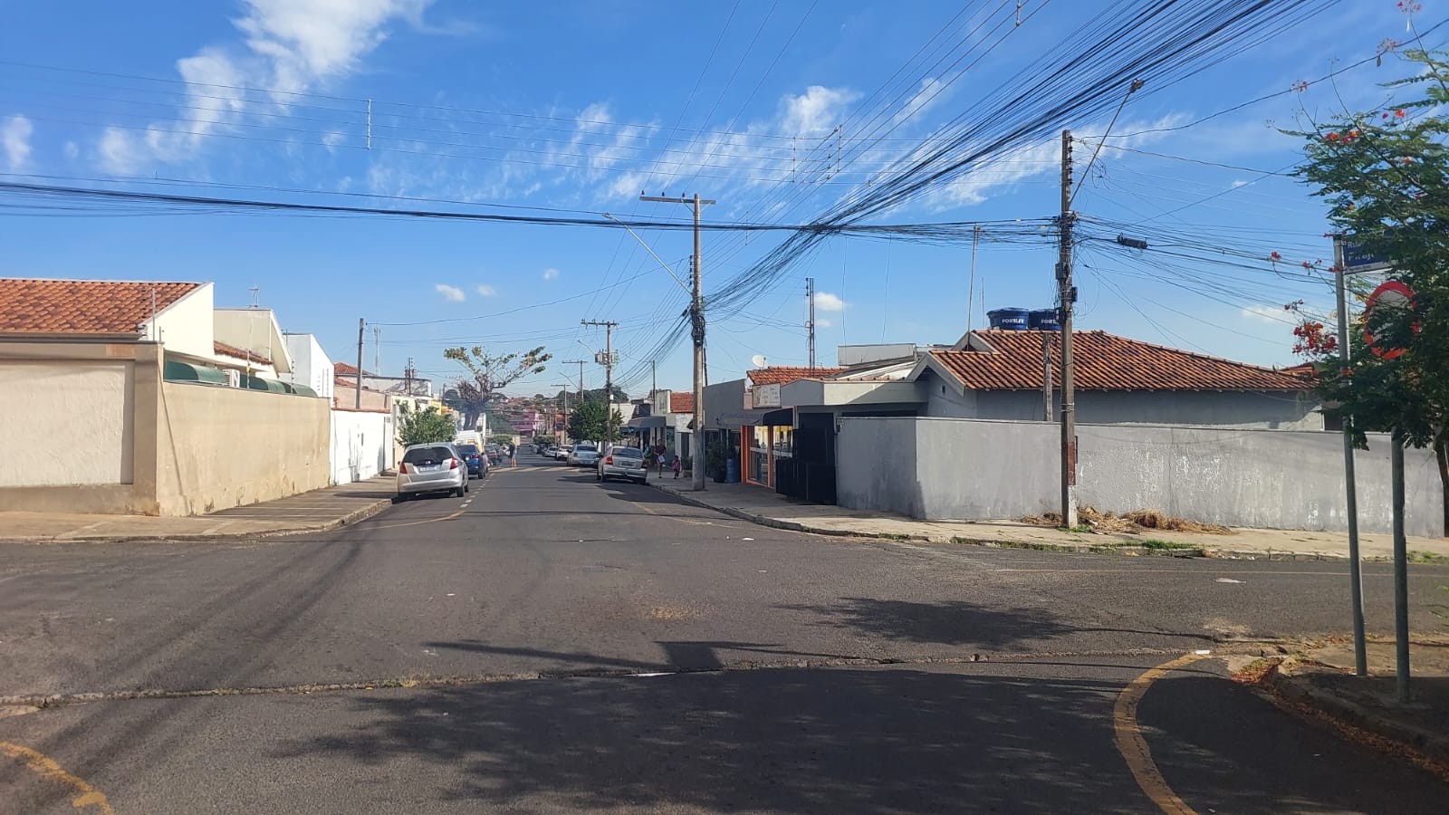 STF determina que municípios acolham animais abandonados e maltratados com base em ação movida em Catanduva 