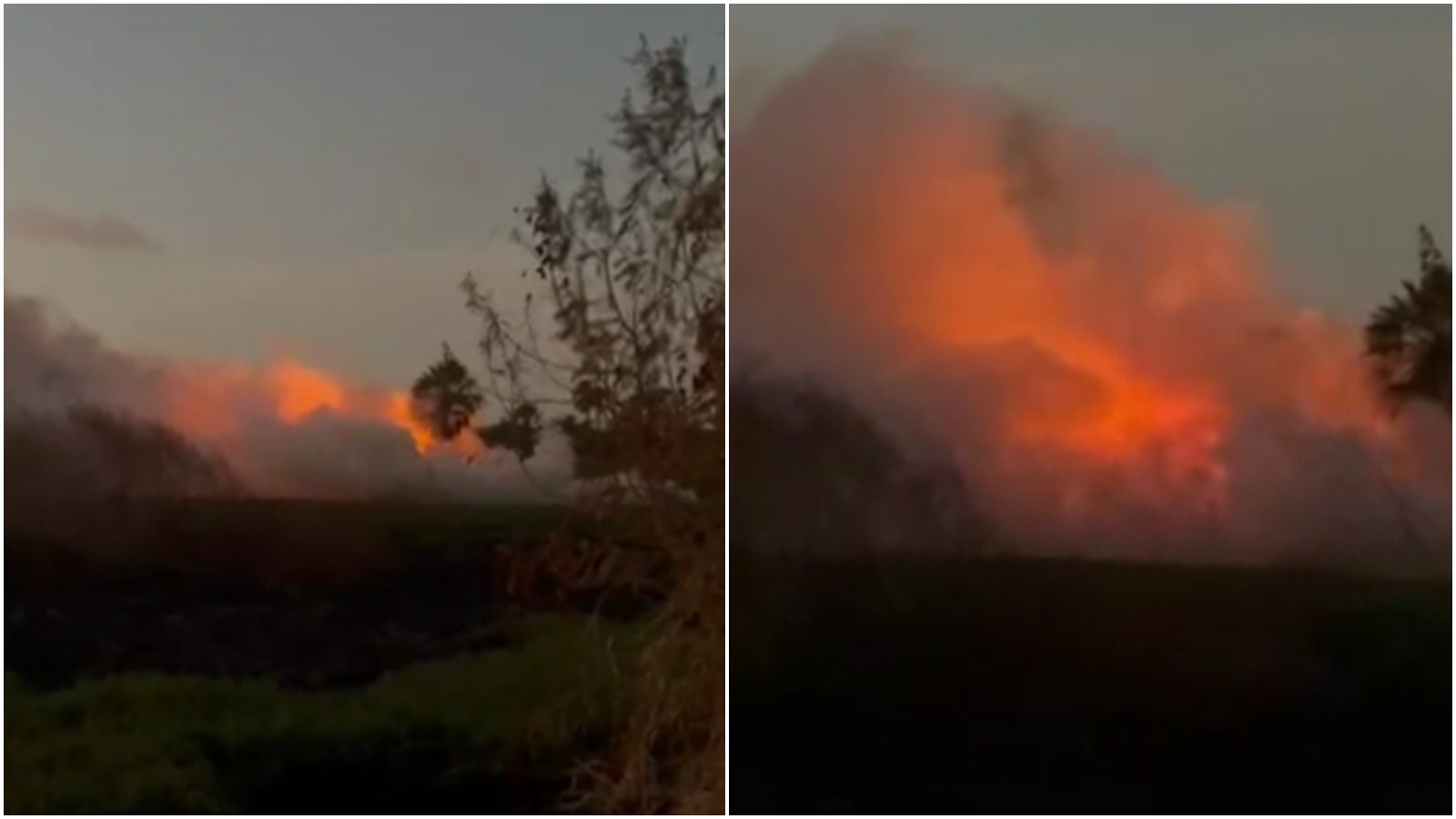 Incêndio em vegetação é registrado nas proximidades do Rio Cocó