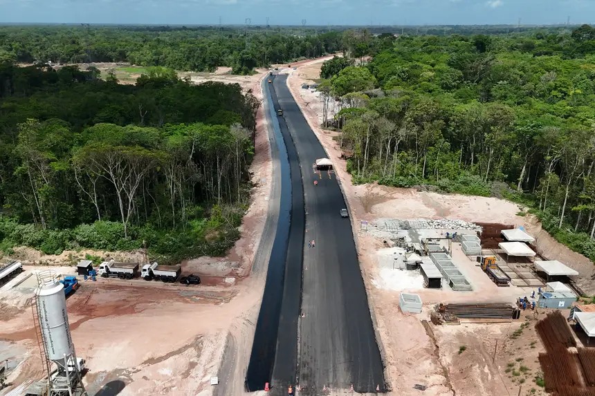 Avenida que corta floresta em Belém muda rotina de famílias: 'chorei de tristeza quando vi derrubarem o açaí'