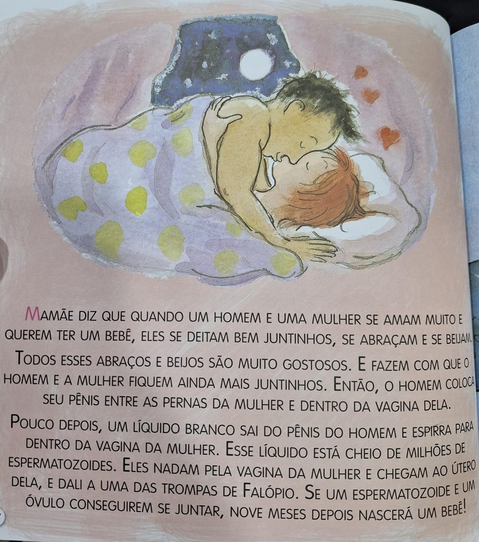 Página do livro indicado para crianças de 6 a 8 anos que explica, de forma direta, como acontece a reprodução humana — Foto: Juliana Cibelly/Arquivo