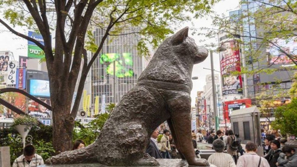 A estátua de Hachiko do lado de fora da estação de Shibuya, em Tóquio.  — Foto: Getty Imagens via BBC