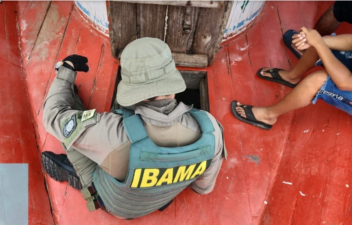 Golpe do falso concurso faz Ibama emitir alerta; entenda o caso e veja como se proteger