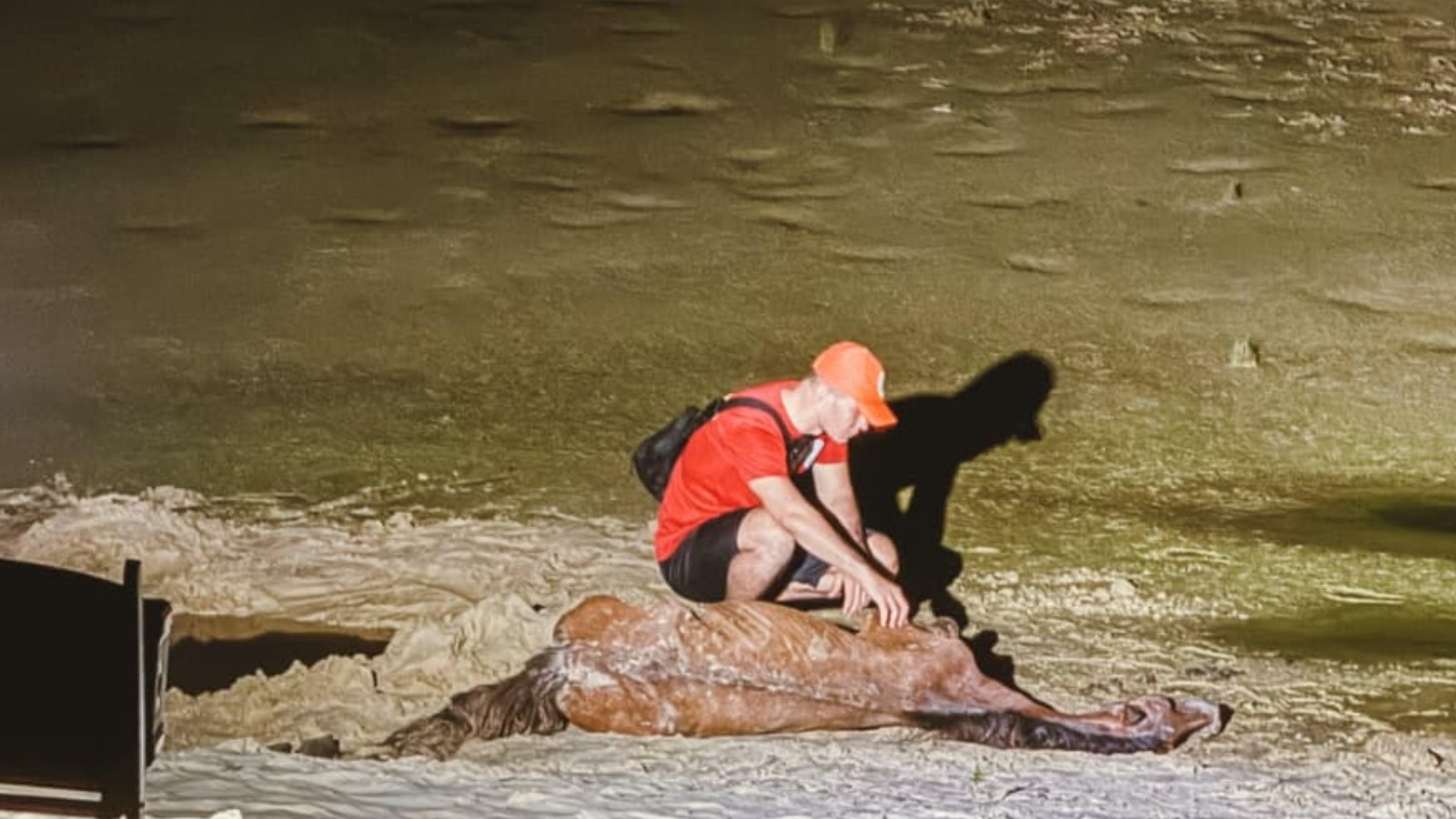 Cavalo resgatado após ficar atolado em dunas da Lagoa do Portinho morre no litoral do PI