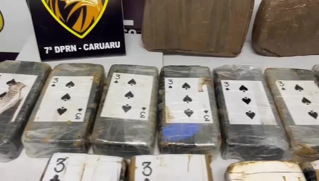 Polícia apreende drogas avaliadas em R$ 1 milhão e prende duas mulheres na BR-232