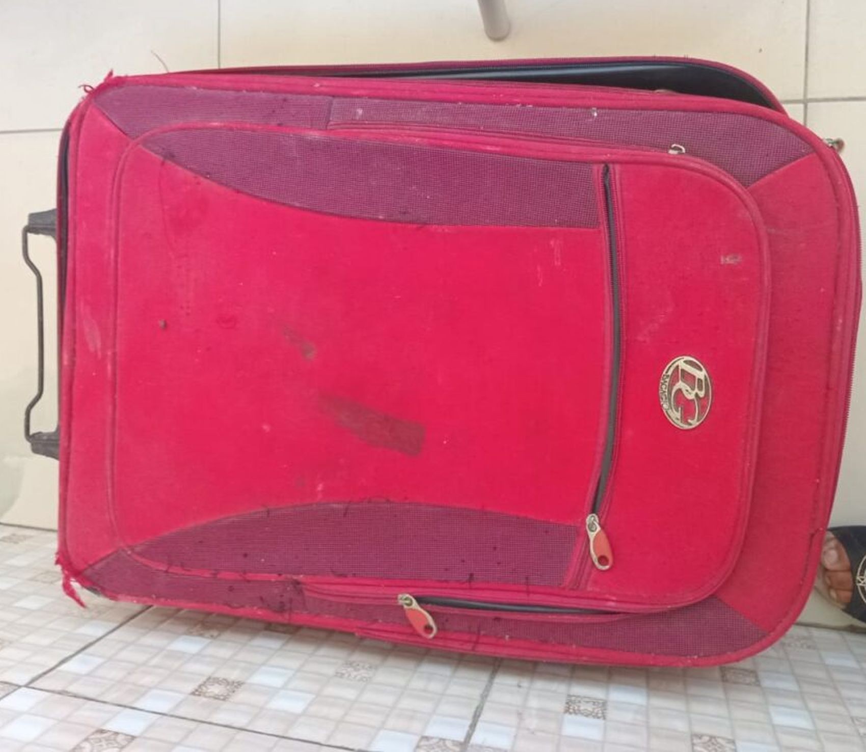 Homem mata cachorro da própria mãe enforcado, coloca animal em mala e deixa na porta da casa dela em SE 