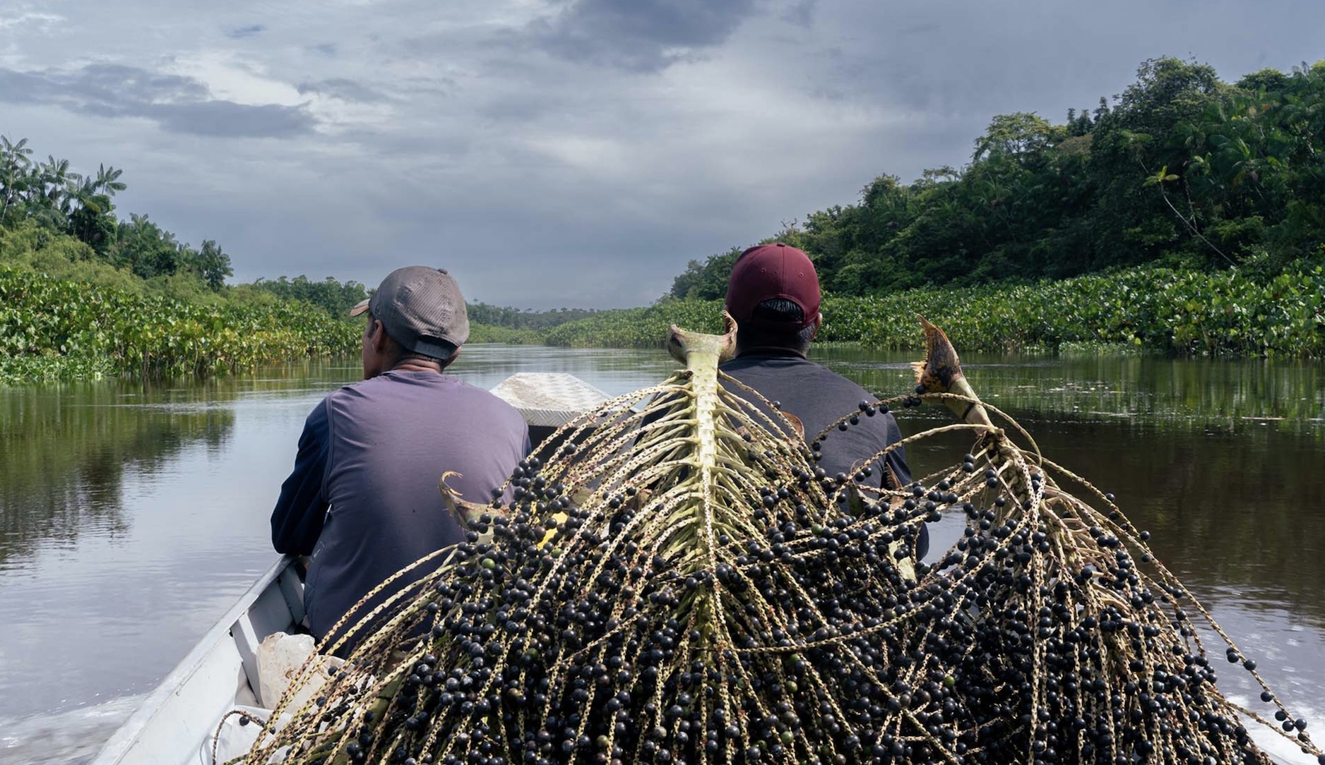 Associação indígena do Amapá vence prêmio global de sustentabilidade da ONU 