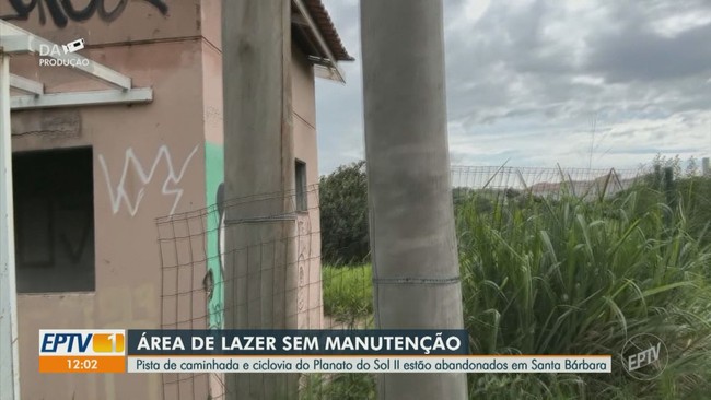 Menina de 4 anos é gravemente atacada por pitbull que escapou de casa em Campinas