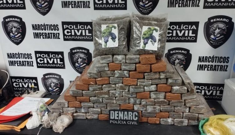 Polícia incinera 260 quilos de drogas em ação contra tráfico em Imperatriz