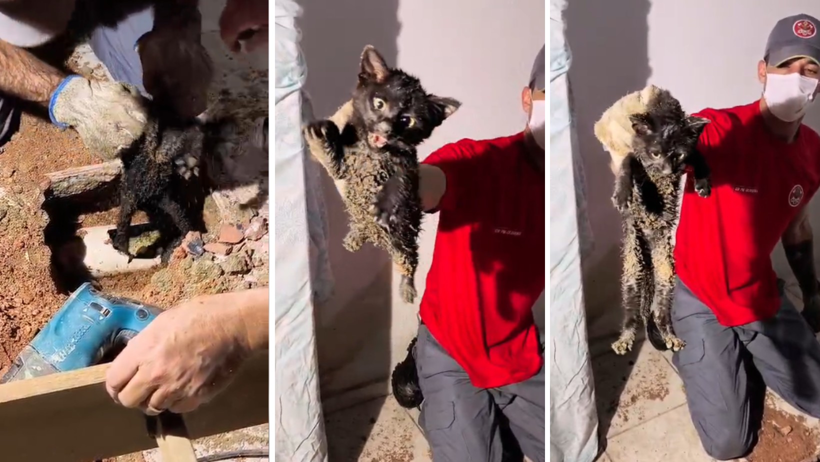 VÍDEO: Filhote de gato é resgatado após ficar preso dentro de tubulação em Ubatuba