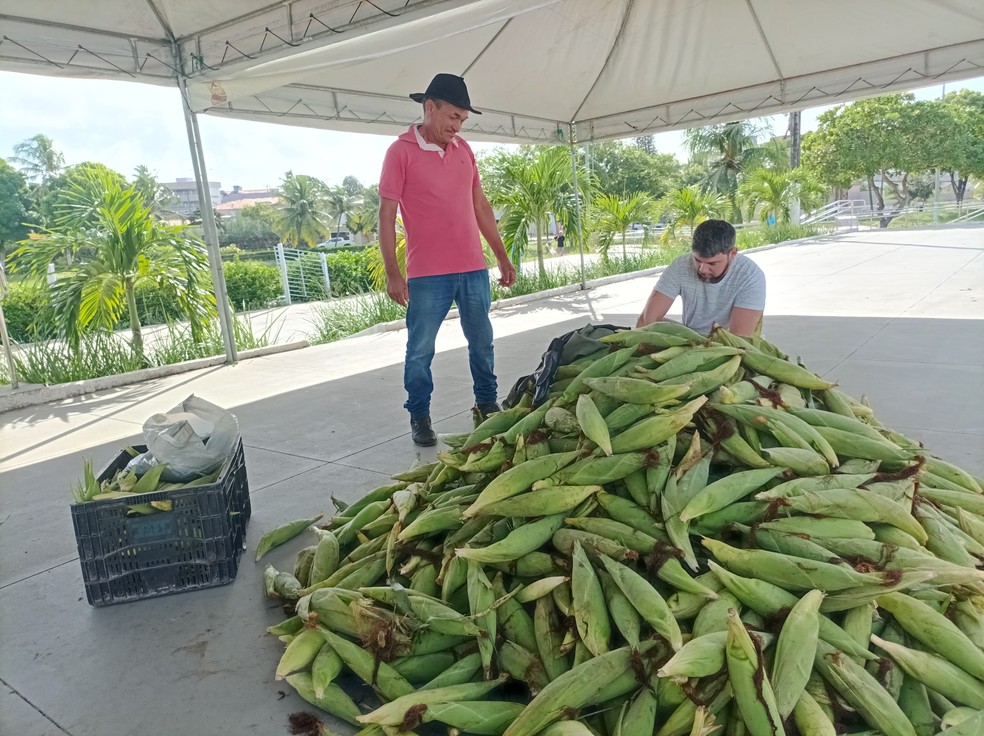 Novo ponto da Feira do Milho em Natal na Praça da Árvore de Mirassol — Foto: Semsur