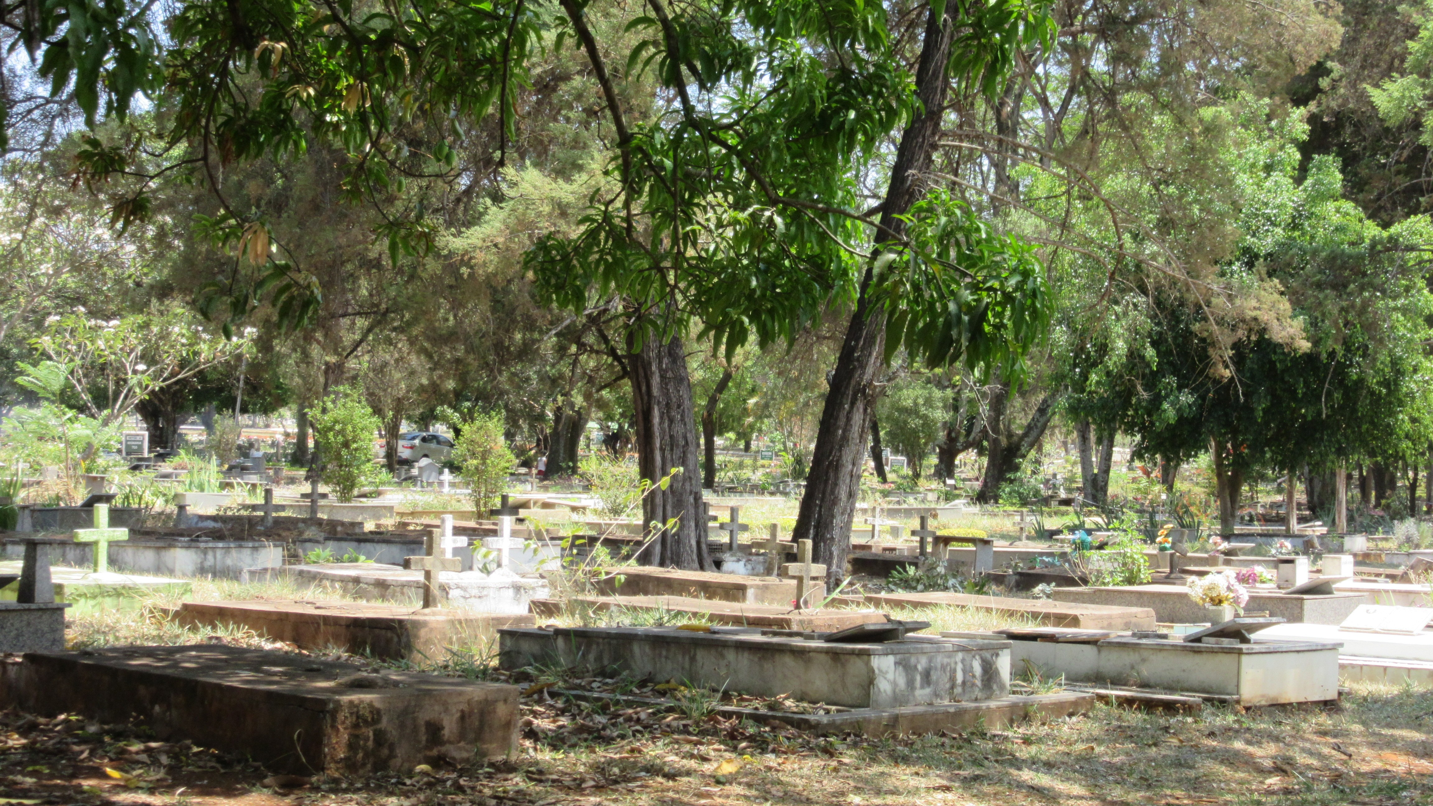 Dia de Finados: Athos Bulcão e Sarah Kubitschek estão enterrados no cemitério de Brasília; veja outros nomes