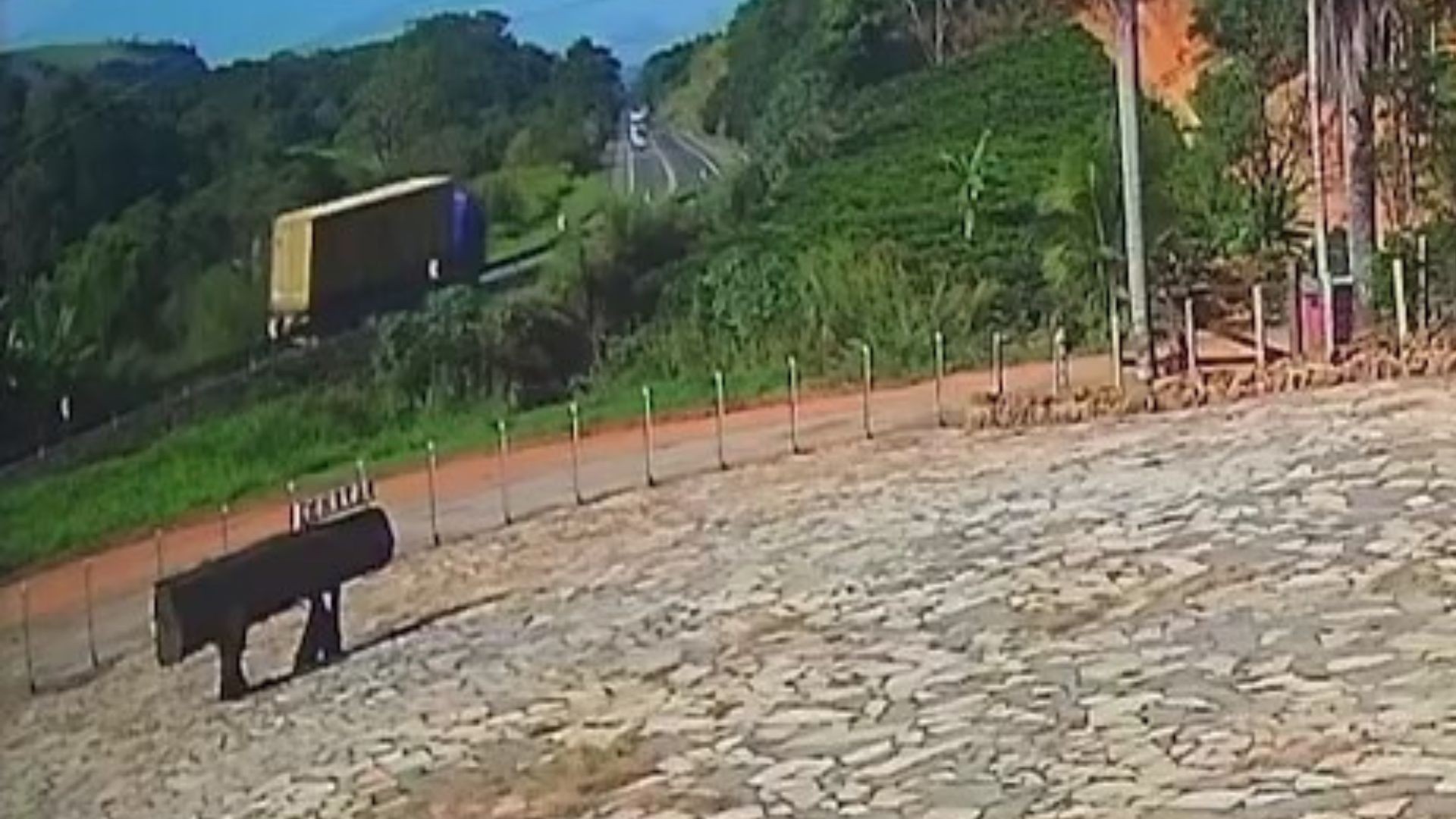 VÍDEO: motorista perde controle em curva e carreta tomba na BR-101, no ES