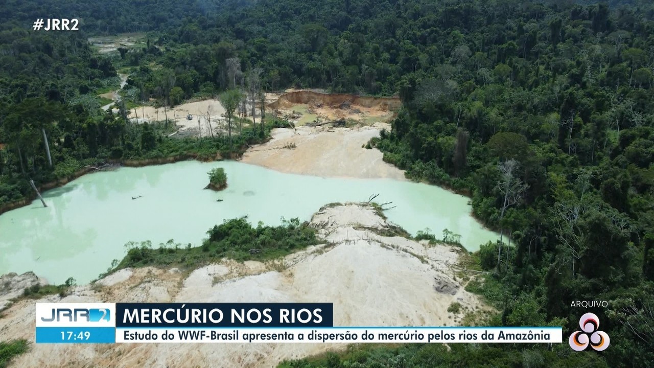 Sete rios e afluentes na Terra Yanomami estão contaminados por mercúrio ...