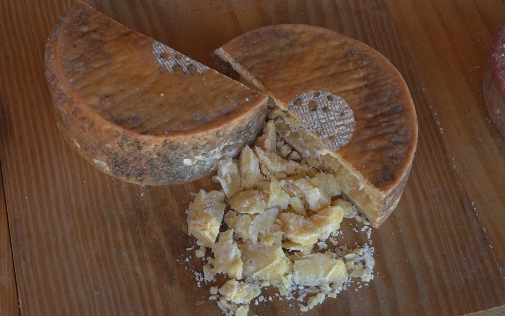 queijo canastra organico
