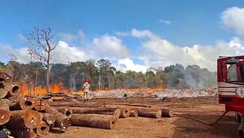 Incêndio de grande proporção atinge indústria de madeira em Mazagão; VÍDEO