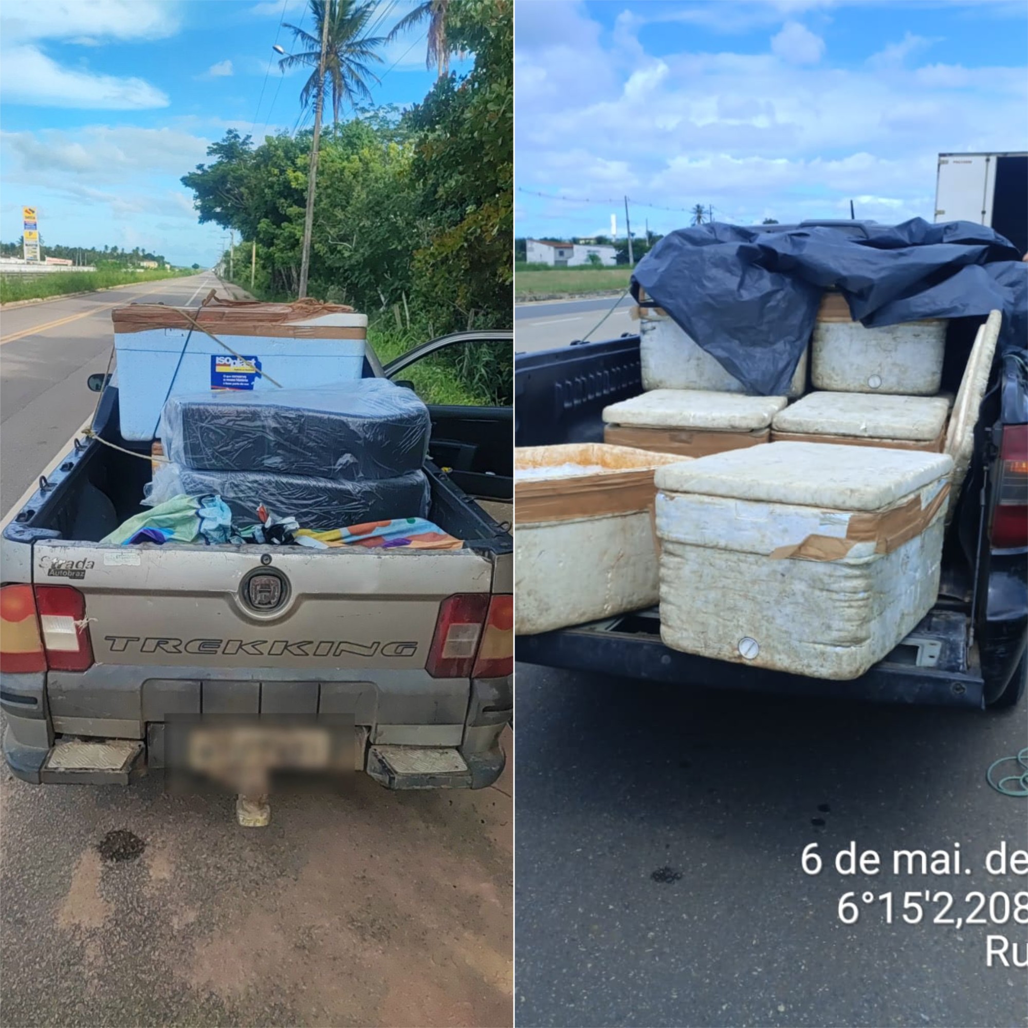 PRF apreende 250 kg de pescados irregulares na BR-101 no RN