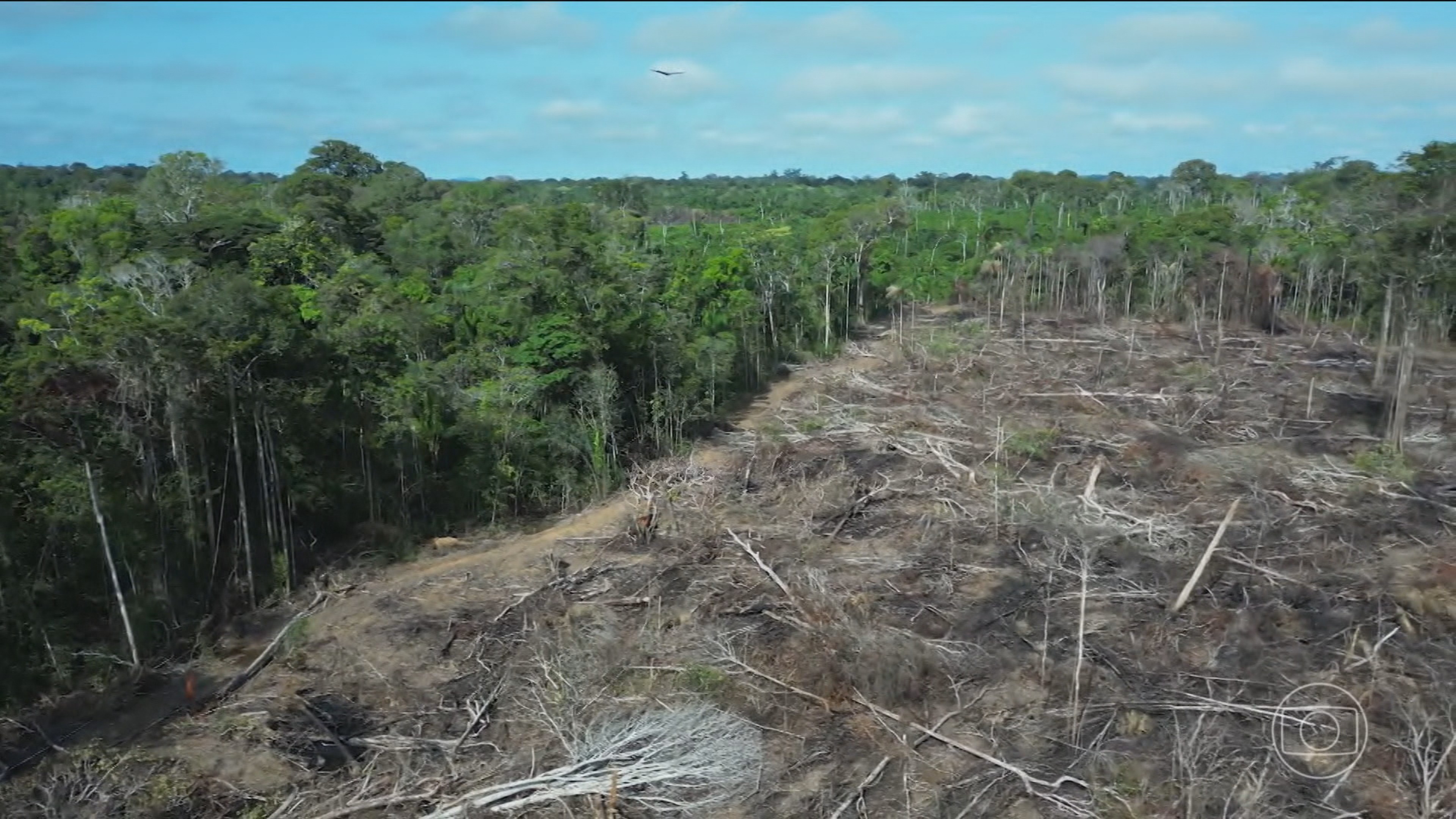 Área desmatada na Amazônia é a menor em 7 anos