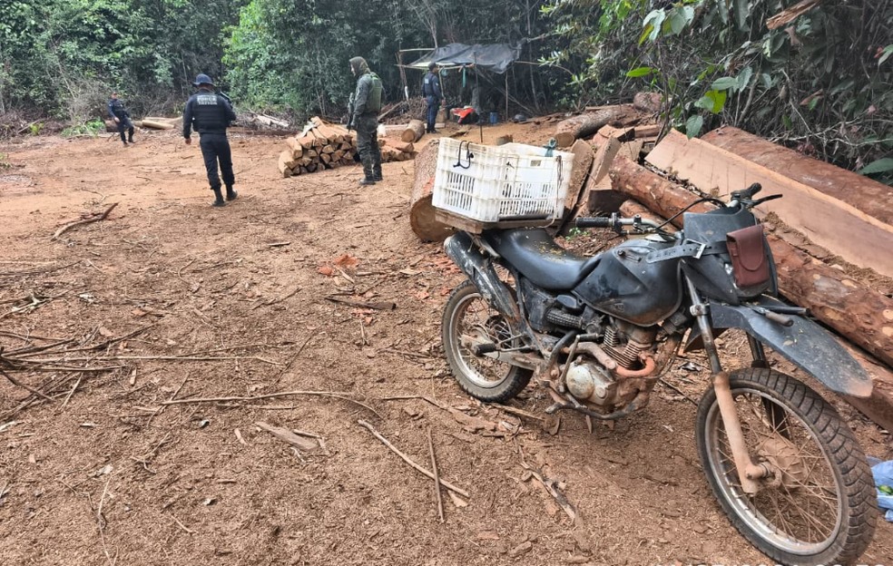 Agentes em outro ponto da área desmatada cumprindo os mandados — Foto: Reprodução PMMT