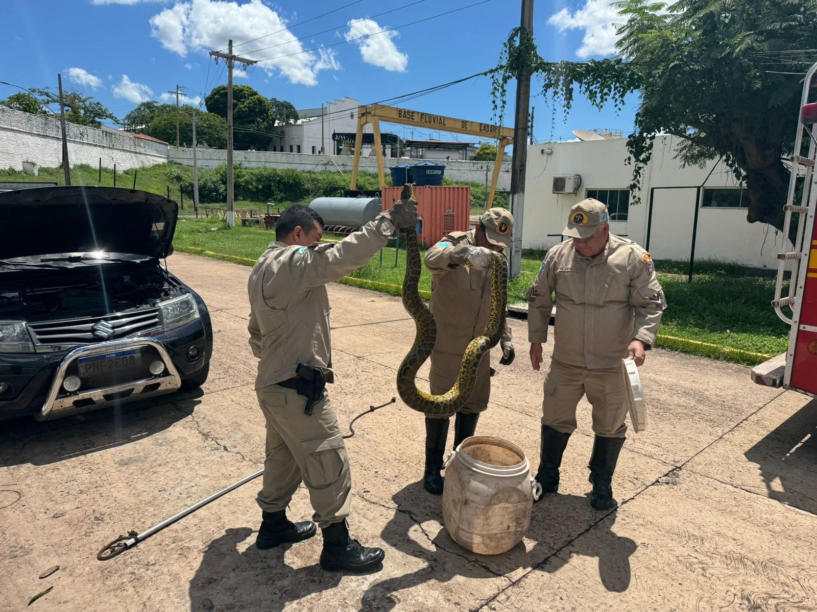 Morador se surpreende ao encontrar sucuri de 3 metros no motor de carro em MS