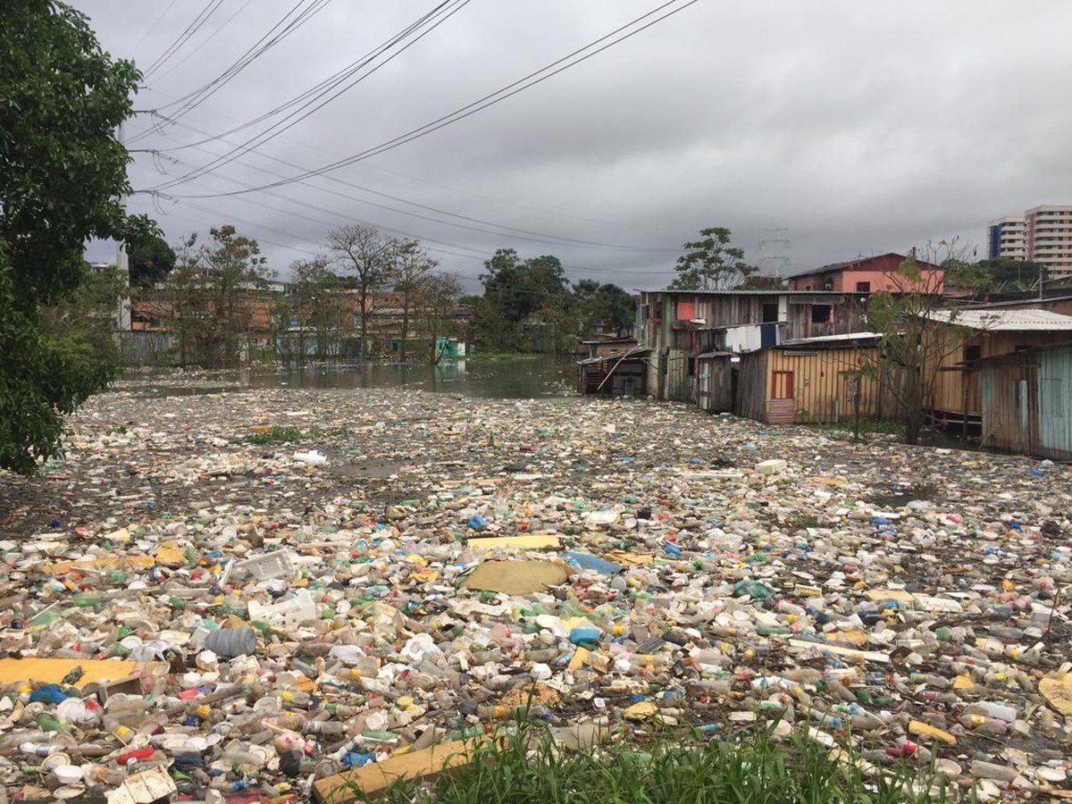Cheia e chuva arrastam resíduos e formam 'tapete' de lixo em igarapé de  Manaus | Amazonas | G1