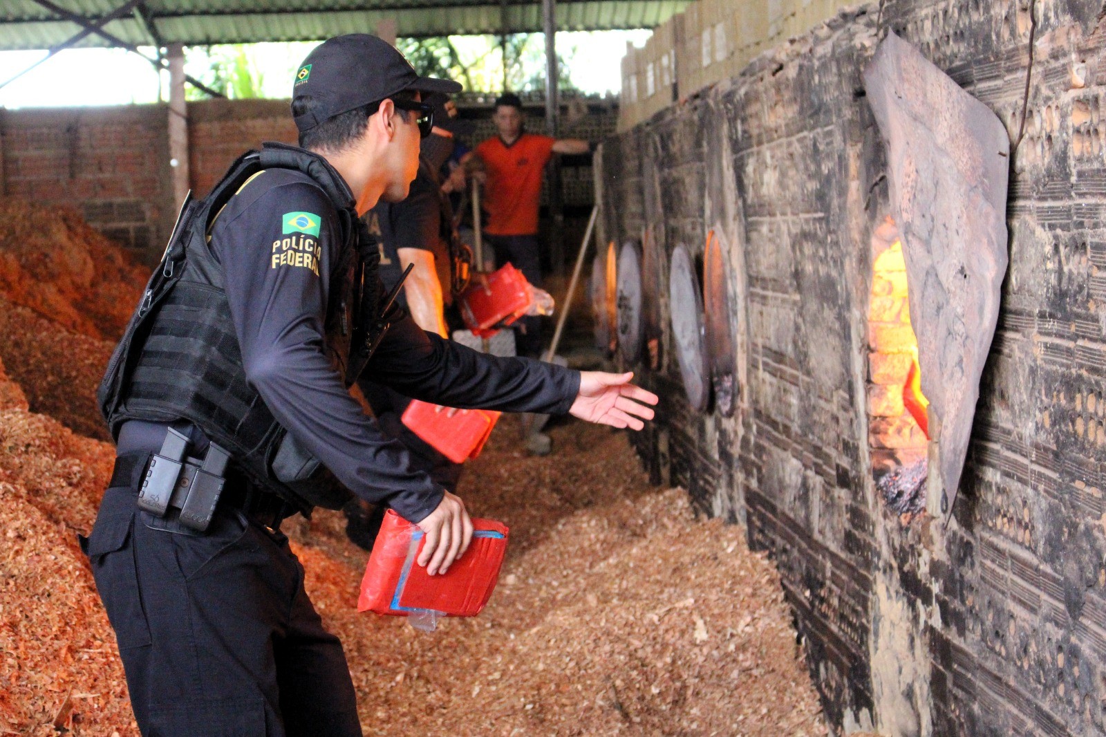 PF incinera mais de 270 quilos de drogas apreendidas no Amapá