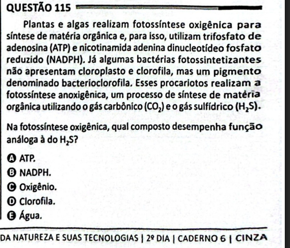Questão do Enem 2025 sobre fotossíntese — Foto: Reprodução