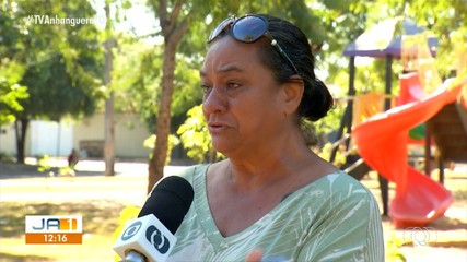 Palmenses pedem justiça após mais de 10 gatos serem envenenados em quadras da Capital