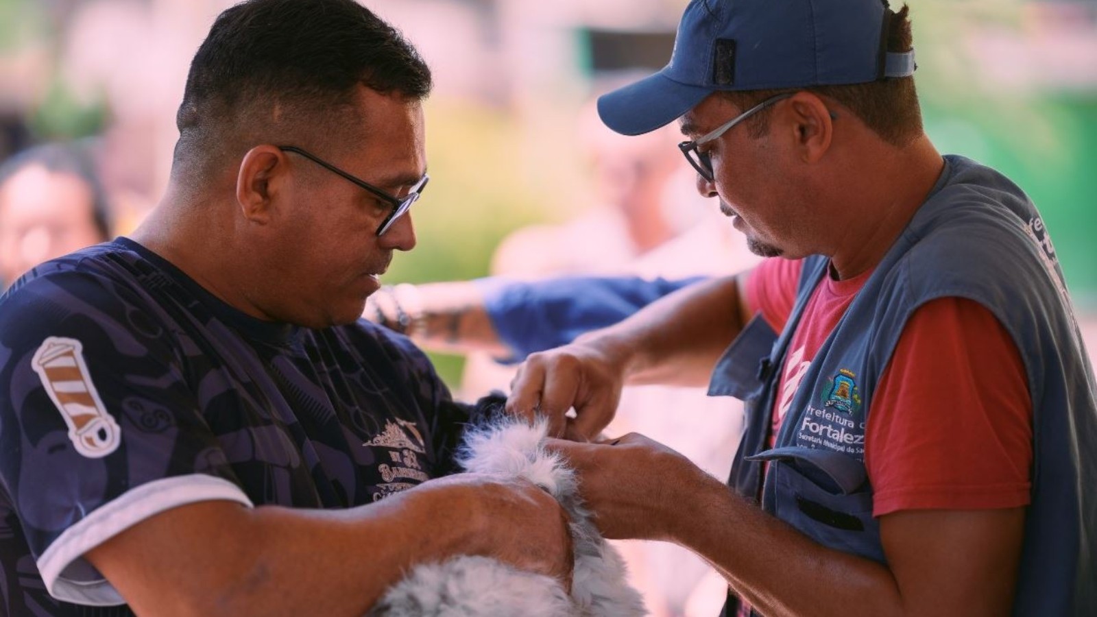 Fortaleza realiza Dia D de vacinação antirrábica para cães e gatos neste sábado; veja locais