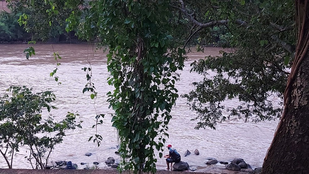 Durante a piracema, praticar pesca amadora ou profissional de peixes nativos e em determinados locais é crime ambiental — Foto: Claudia Assencio/g1