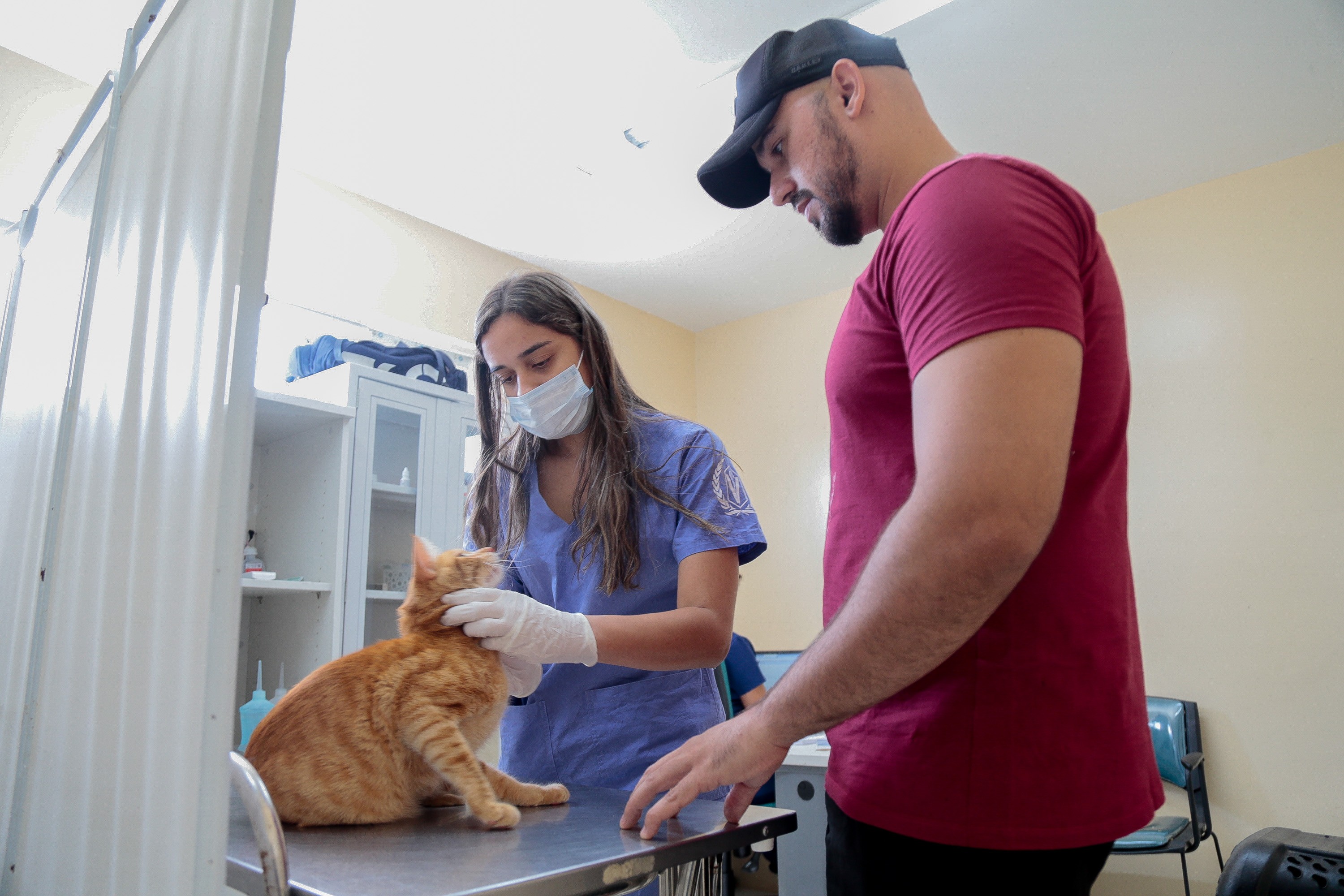 VetMóvel oferece serviços veterinários gratuitos em estacionamento de shopping em Fortaleza